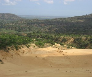 Mountain range of Macuira. Source: Panoramio.com  By: jokerjmv